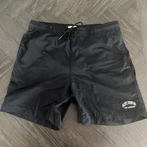 Pacsun Swim Shorts